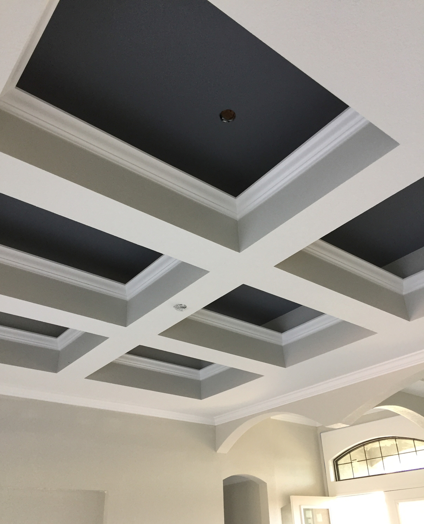 Coffered ceiling with contrasting dark panels